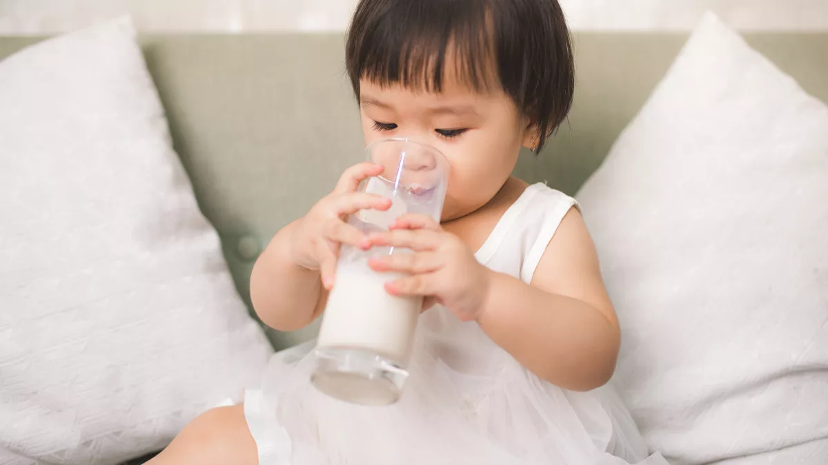 Rekomendasi Susu Anak 3 Tahun Untuk Kecerdasan Otak Dan Nutrisi Pendukungnya